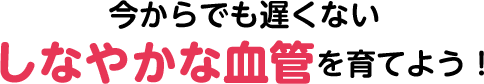 今からでも遅くないしなやかな血管を育てよう！