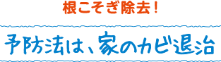 根こそぎ除去！ 予防法は。家のカビ退治