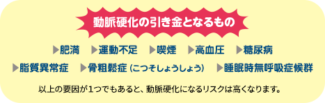 動脈硬化の引き金となるもの 肥満 運動不足 喫煙 高血圧 糖尿病 脂質異常症 骨粗鬆症 睡眠時無呼吸症候群 以上の要因が1つでもあると、動脈硬化になるリスクは高くなります。