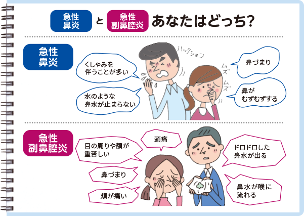 急性鼻炎と急性副鼻腔炎あなたはどっち？ 急性鼻炎：くしゃみを伴うことが多い、鼻づまり、水のような鼻水がとまらない、鼻がむずむずする 急性副鼻腔炎：目の周りや額が重苦しい、頭痛、ドロドロした鼻水が出る、鼻づまり、頬が痛い、鼻水が喉に流れる