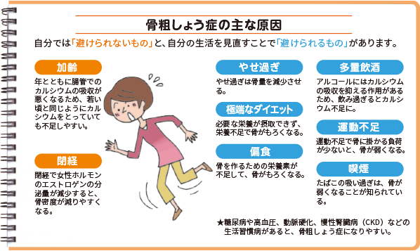 骨粗しょう症の主な原因 「避けられないもの」:加齢・閉経 「避けられるもの」:やせ過ぎ・多量飲酒・極端なダイエット・運動不足・偏食・喫煙