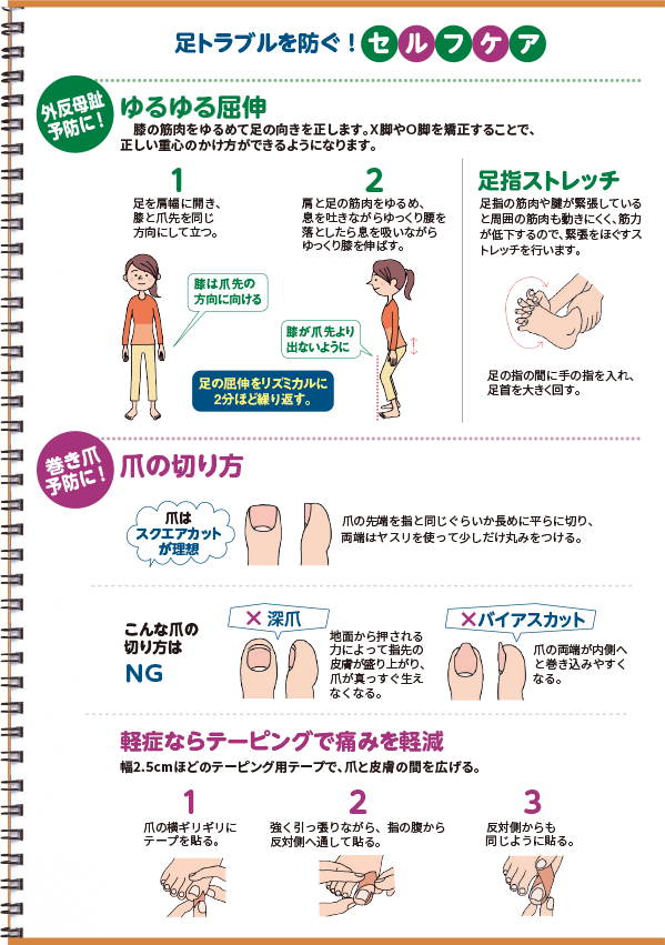 足トラブルを防ぐ!セルフケア 外反母趾予防に! ゆるゆる屈伸 膝の筋肉をゆるめて足の向きを正します。X脚やO脚を矯正することで、正しい重心のかけ方ができるようになります。 巻き爪予防に!爪の切り方 爪はスクエアカットが理想 こんな爪の切り方はNG 深爪 バイアスカット 軽症ならテーピングで痛みを軽減 幅2.5cmほどのテーピング用テープで、爪と皮膚の間を広げる。