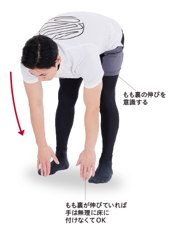 もも裏の伸びを意識する もも裏が伸びていれば手は無理に床に付けなくてOK