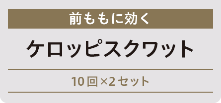 前ももに効く　ケロッピスクワット